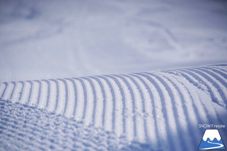 サッポロテイネ -11℃！空に舞い上がる粉雪。